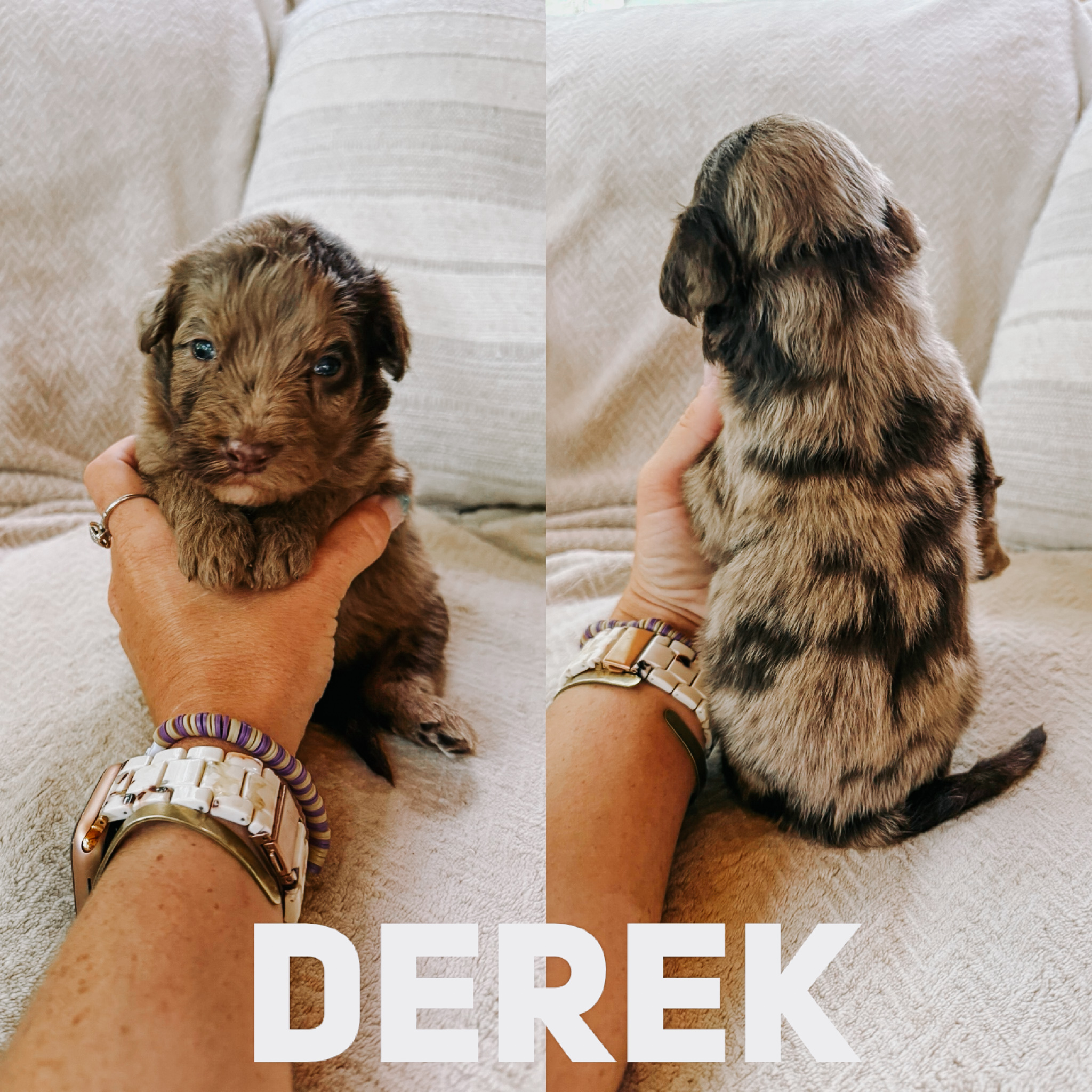 Derek  2